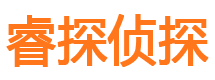 宁河侦探公司